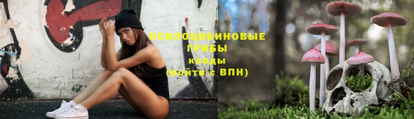a pvp Дмитриев