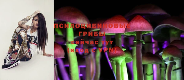 a pvp Дмитриев