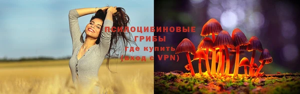 spice Елабуга