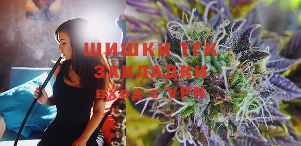 спиды Ельня