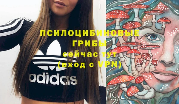 винт Елизово