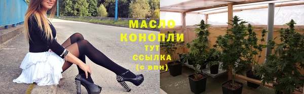 спиды Ельня