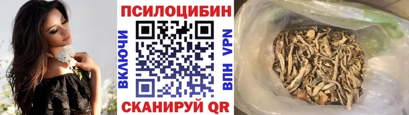 Галлюциногенные грибы Psilocybine cubensis  Купить  Облучье 