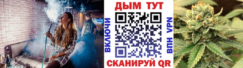 Бошки Шишки конопля  Купить закладки  Облучье 